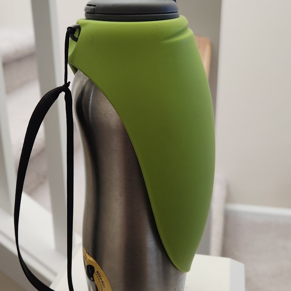 Messy Mutts Stainless Steel Water Bottle with Green Silicone Sleeve